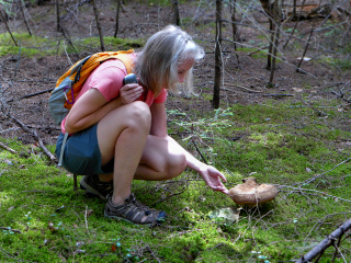 Eagle Lake Carriage Road (Whopper mushroom!)