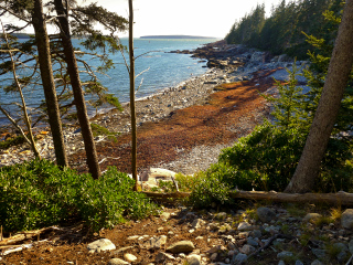 Whistler's Beach, seen from the Old Lighthouse Trail