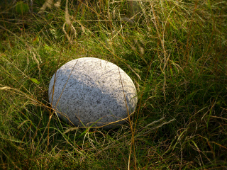 Egg Rock, found along the Old Bass Harbor Lighthouse Trail