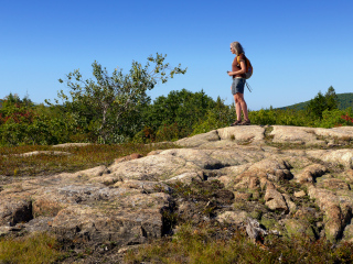 At the summit, surveying the landscape