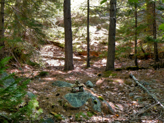 Cairns lead the way uphill