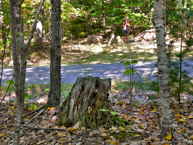 Zhanna stands at the entrance to the access road