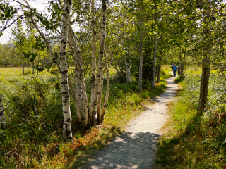 Along the Jesup Path