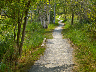 Quiet day on the Jesup Path