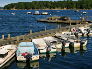 Sights at the pier