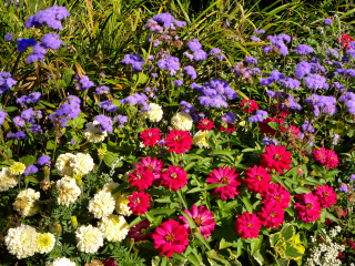 Along the sidewalk in Agamont Park