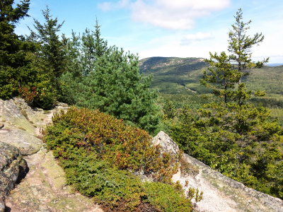 View from Eagles Crag!