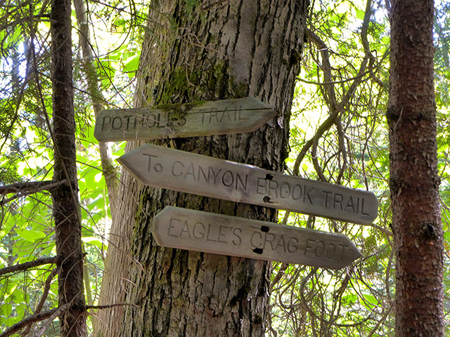 Old trail signs at the intersection of Potholes, Eagles Crag and Dorr Mountain South Ridge Extension