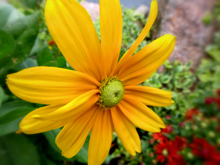 In front of Bar Harbor Manor, Scene, Close-up