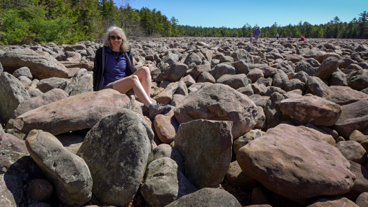 Relaxing on the warm boulders