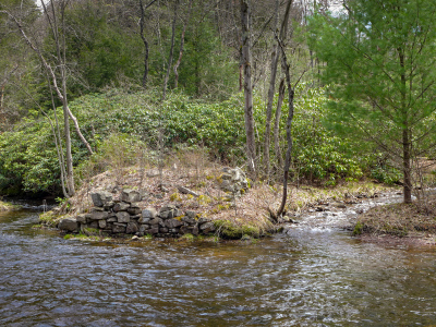 We found some kind of a wall near the confluence of Hawk Run and Mud Run.