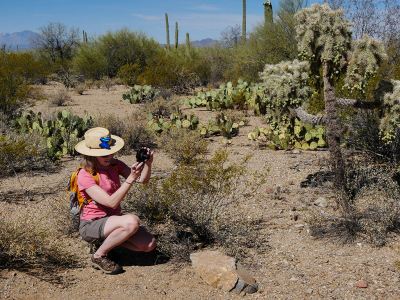 Zhanna takes a photo of cholla from a safe distance