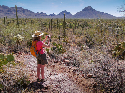 Zhanna enters the cactus forest