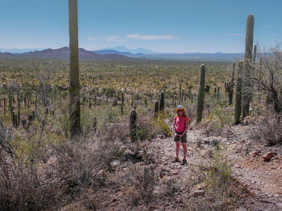 Zhanna is dwarfed by the BIG saguaros