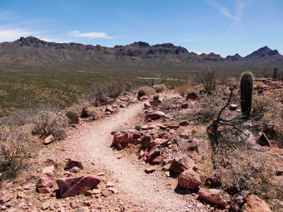 Along the Brown Mountain trail