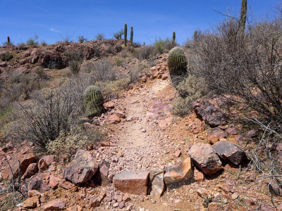 Continuing up the Brown Mountain trail