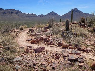 Along the Brown Mountain trail