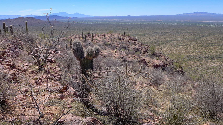 View from one of the Brown Mountain summits