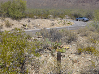 Looking NE toward the road to the archery range