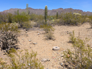 Looking NE toward McCain Loop Road