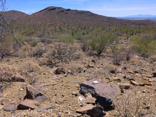 Looking S toward Brown Mountain