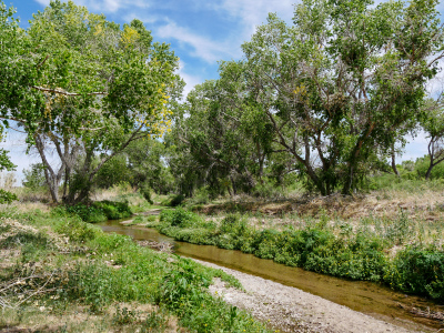 Santa Cruz River, along the Anza Trail