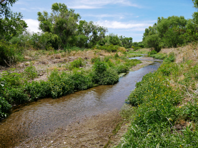 Santa Cruz River, along the Anza Trail