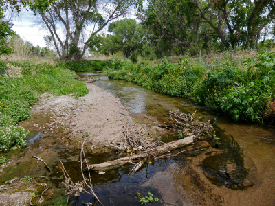 Santa Cruz River, along the Anza Trail