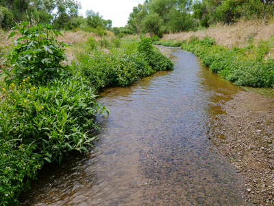 Santa Cruz River, along the Anza Trail