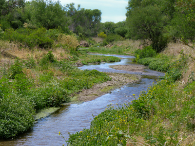 Santa Cruz River, along the Anza Trail