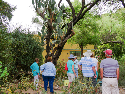 Garden tour group