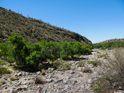 Seven Falls Trail, Sabino Canyon