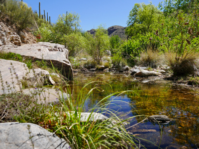 Seven Falls Trail, Sabino Canyon