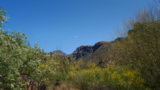 Seven Falls Trail, Sabino Canyon