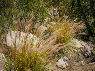 Seven Falls Trail, Sabino Canyon