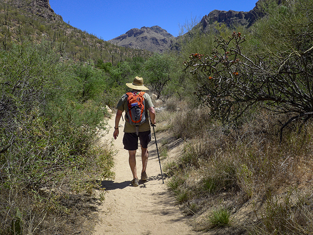 Rich hikes toward Seven Falls