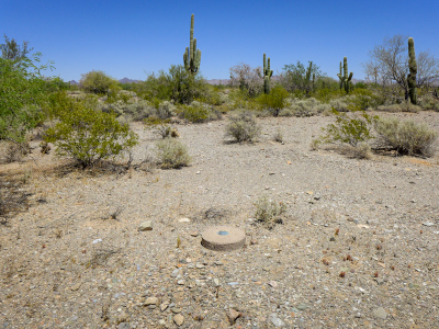 NGS benchmark N 308, looking north toward impressive saguaros!