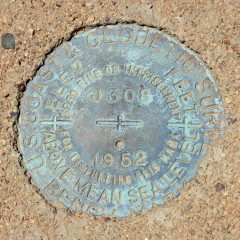 NGS Bench Mark Disk J 308