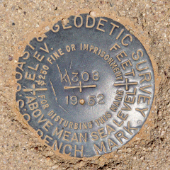 NGS Bench Mark Disk K 308