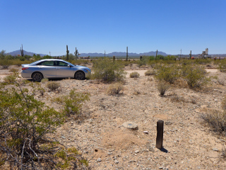 Looking S toward Puerto Blanco Drive