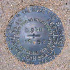 NGS Bench Mark Disk L 308