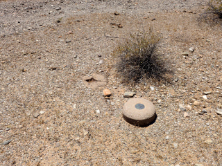 Eyelevel view of the disk and the former location of the witness post