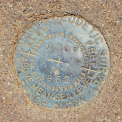 NGS Bench Mark Disk M 308