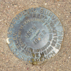 NGS Bench Mark Disk N 308