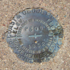 NGS Bench Mark Disk P 308