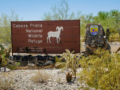 Sign and cactus garden at the entrance to the wildlife refuge