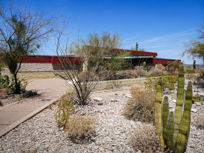 Paths wind along through the desert gardens