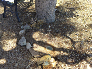 Eyelevel view of the disk on the rock outcrop