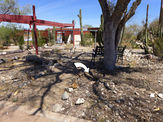 Location of the mark near the palo verde tree, and its proximity to the visitors center