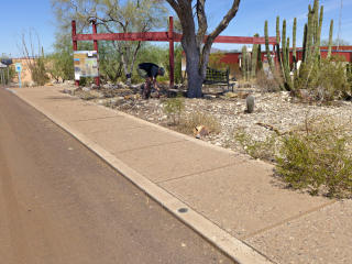 Eyelevel view; looking NW toward Rich at station